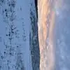 Mark Coyle - @mark.coyle14 - TikTok