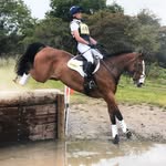 Mark Cramb Equestrian - @markcrambequestrian - Instagram