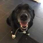 Mark Crames - @markcrames - Instagram