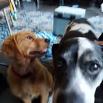 Mark Cramer - @markcramer10 - Instagram