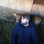 Mark Craythorne - @mark_craythorne - Instagram