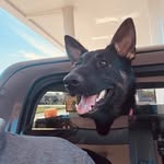 Mark Wayne - @mark_craycraft - Instagram