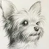 markcrilleyreal - @markcrilleyreal - TikTok