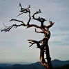 mark chrisinger - @mlchrisinger - TikTok