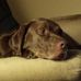 Mark Crist - Facebook