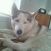 Mark Crist - Facebook