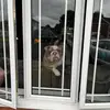 mark crook - @mark.crook5 - TikTok