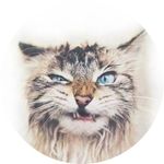 Mark Cross - @n.e_e.dreif - Instagram