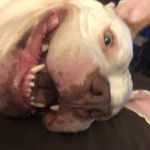 Mark Crothers - @crothers_mark - Instagram