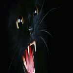 Mark Crothers - @mark.crothers.353 - Instagram