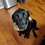 Mark Crouch - @mark.crouch.33886 - Instagram