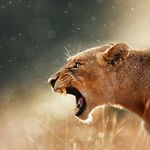Mark Crouch - @mark.crouch.1042 - Instagram