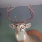 mark crowder - @marktcrowder - Instagram