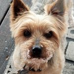 Mark Crowder - @markbcrowder - Instagram