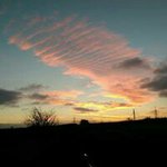 Mark Cruise - @mark.cruise - Instagram