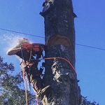 Mark McCuddy - @markmccuddy - Instagram