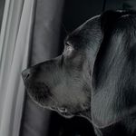 Mark Cuff - @_mark_cuff - Instagram