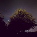 Mark Cullinane - @markcullinane1 - Instagram