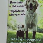 Mark Cullum - @mark.cullum.12 - Instagram