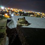 Mark Cullum - @mark.cullum.144 - Instagram