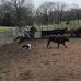 Mark Cumbie - Facebook
