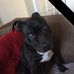 Mark Cumberland - Facebook