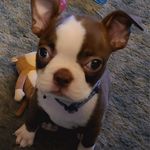 Mark Cupp - @hmscupp - Instagram