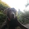 markcusick295 - @markcusick295 - TikTok
