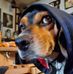 Markus Cutlip - Facebook