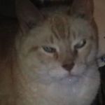 Mark Dahlman - @md1962us - Instagram
