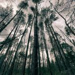 Mark Daigle - @madone550 - Instagram