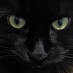 Mark Dakers - @dakersmark - Instagram
