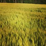 Mark Dakin - @dakin_mark - Instagram