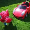Mark Daly - @mark.daly3 - TikTok