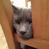 Mark Daly - @mark.daly4 - TikTok