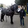 Mark Daly - @markdaly23 - TikTok