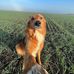 Mark H Dambrosio - Facebook
