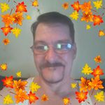 Mark Damiani - @damianimark - Instagram