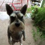 Mark Danner - @danner6161 - Instagram