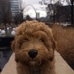 Mark Danner - @markedanner - Instagram