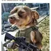 Mark Danner - @mark.danner - TikTok