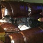 Mark Danner - @markpdanner - Instagram