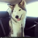 @dantes.mark - Instagram