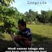 Mark Dantes - Facebook