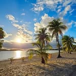 @mark_danza - Instagram