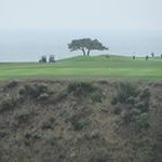 Mark Darcy - @markkdarcy - Instagram