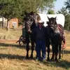 Mark Daugherty - @mark.daugherty - TikTok