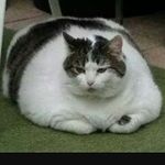 Mark Davey - @mdavey2003 - Instagram
