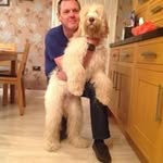 Mark Davidge - @mark.davidge2 - Instagram