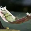 Mark_DaVinci - @mark_davinci - TikTok